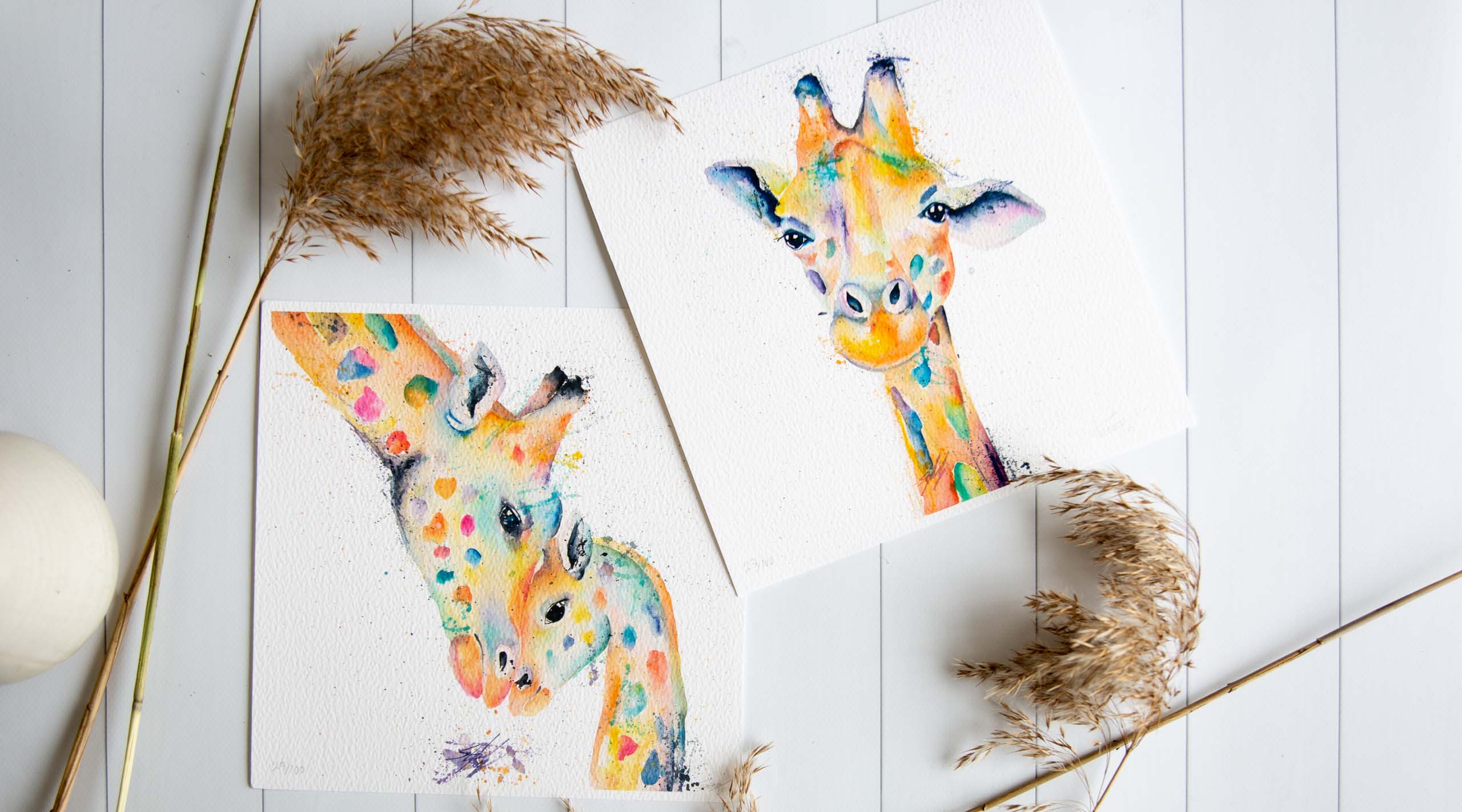 Colourful wildlife fine art animal prints