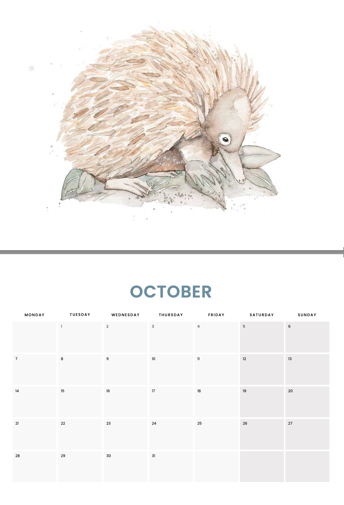 2024 Calendar by Stephanie Elizabeth Artwork