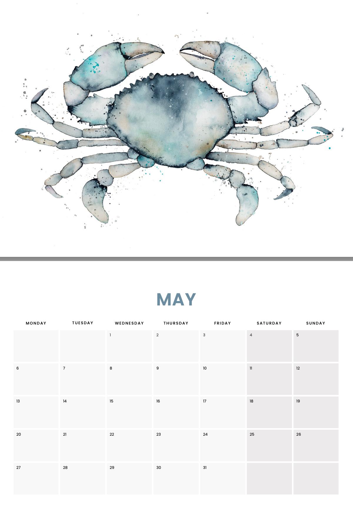 2024 Calendar by Stephanie Elizabeth Artwork