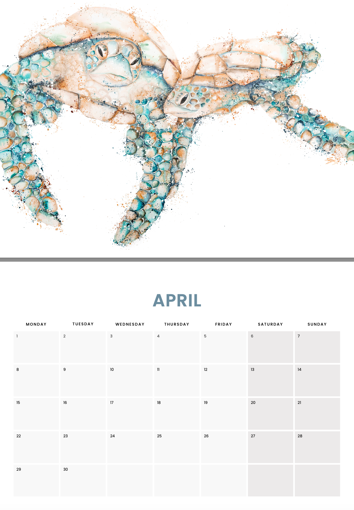 2024 Calendar by Stephanie Elizabeth Artwork