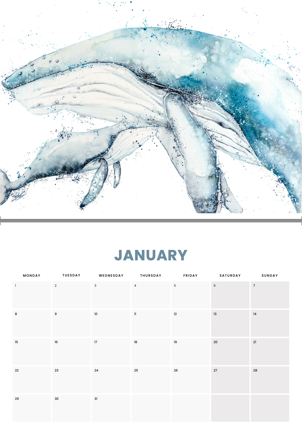 2024 Calendar by Stephanie Elizabeth Artwork