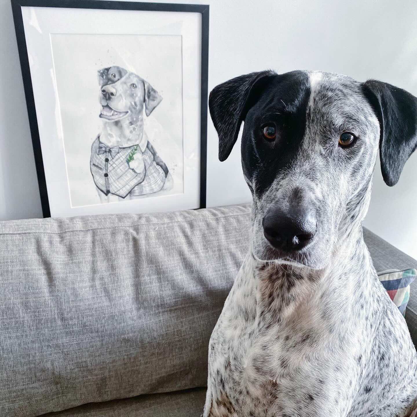 pet portrait painting workshops port douglas 3