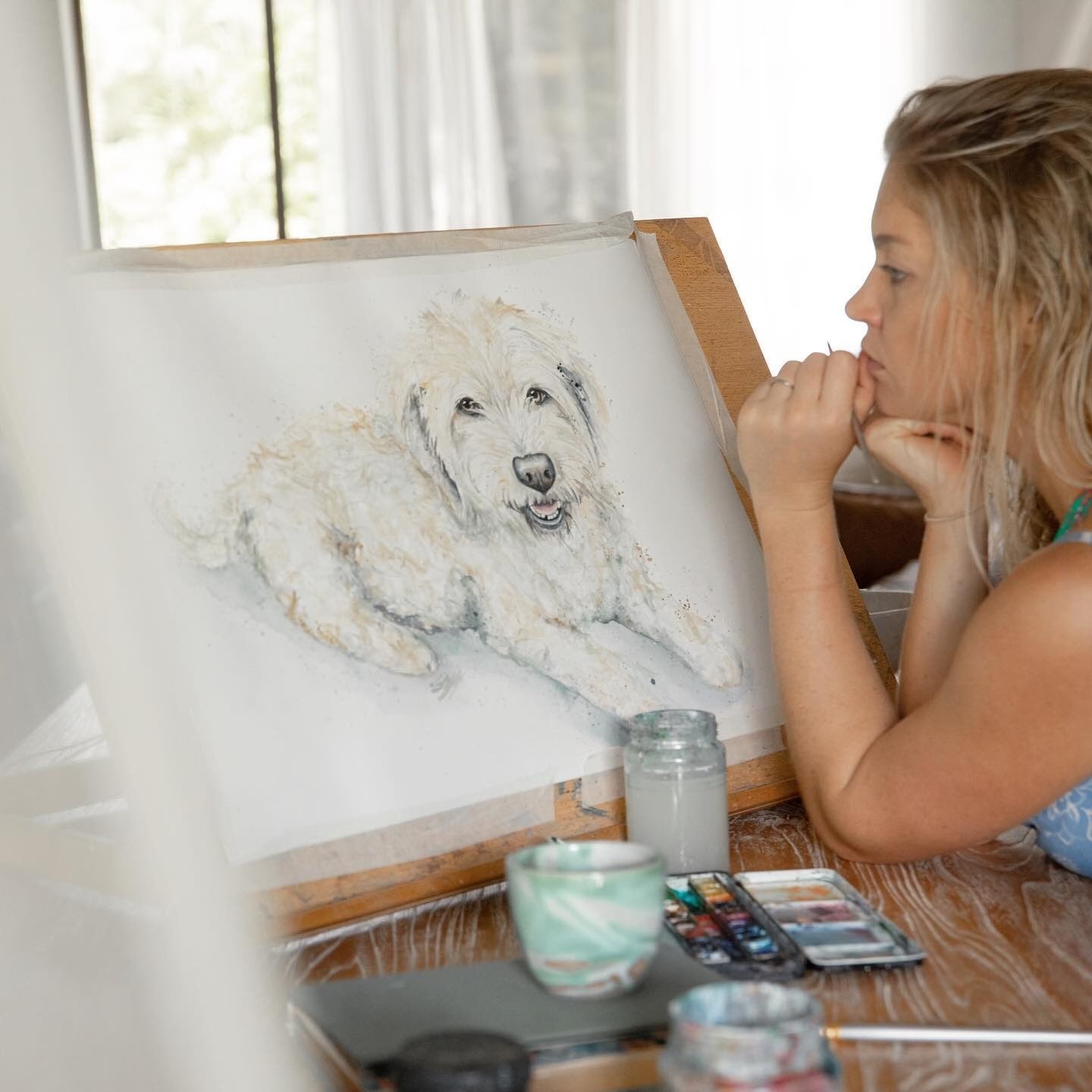 pet portrait painting workshops port douglas