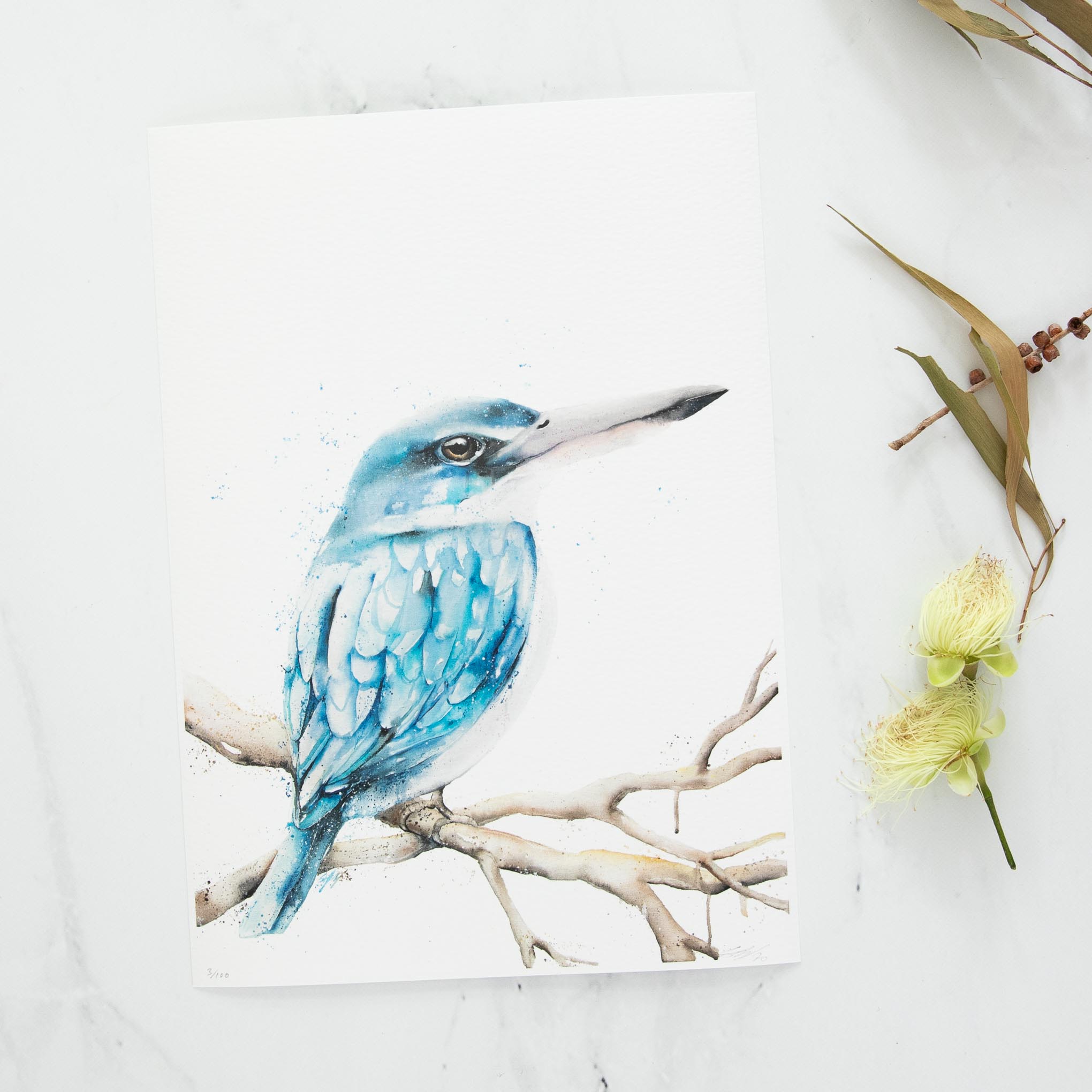A4 Kingfisher fine art print