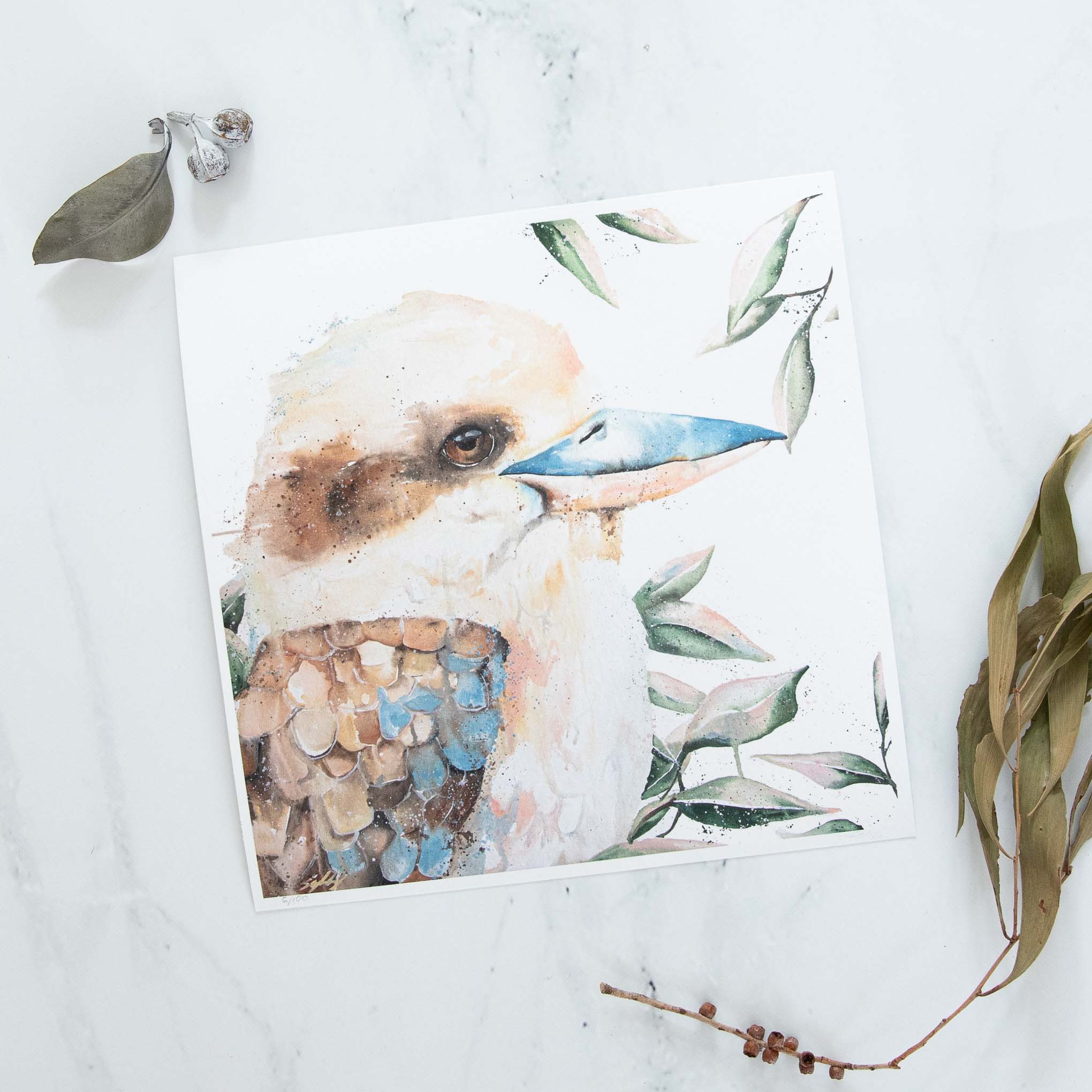 Blue Winged Kookaburra Print
