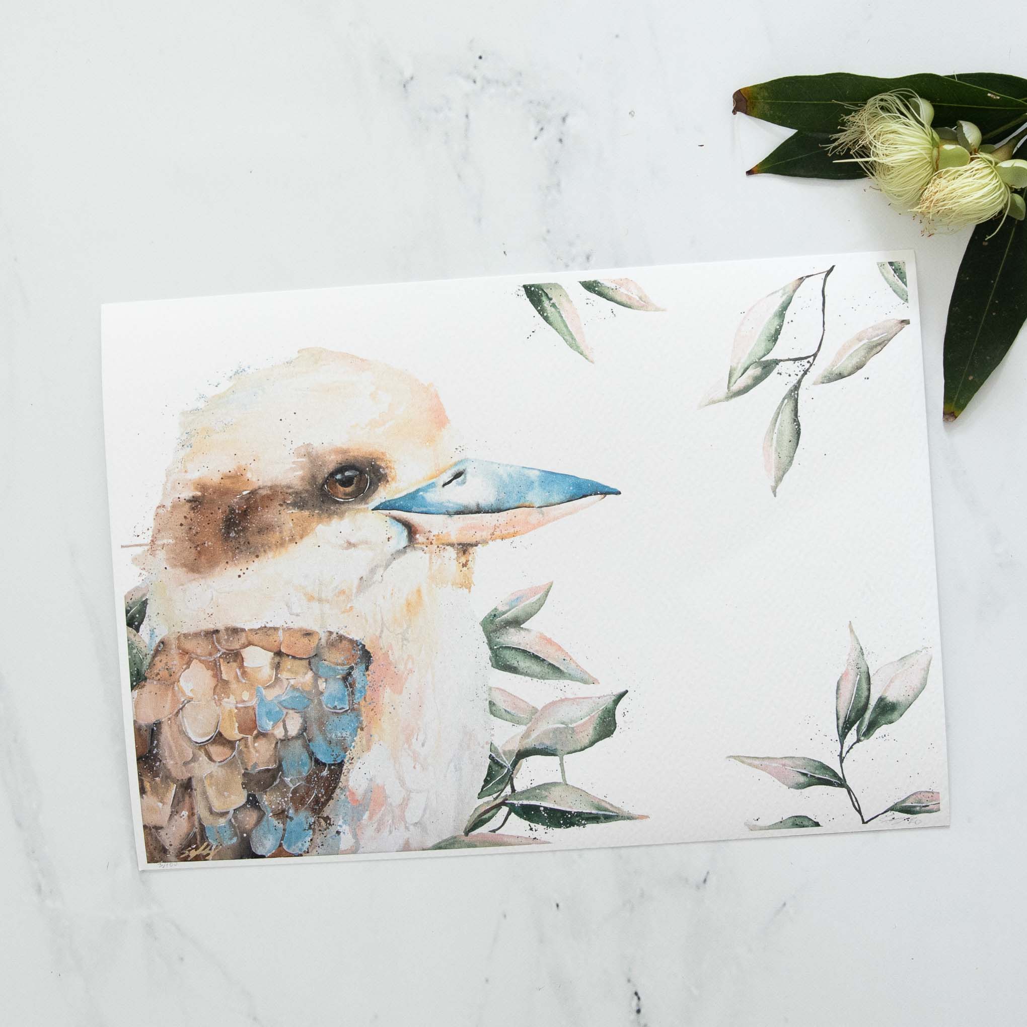 Blue winged Kookaburra animal artwork print