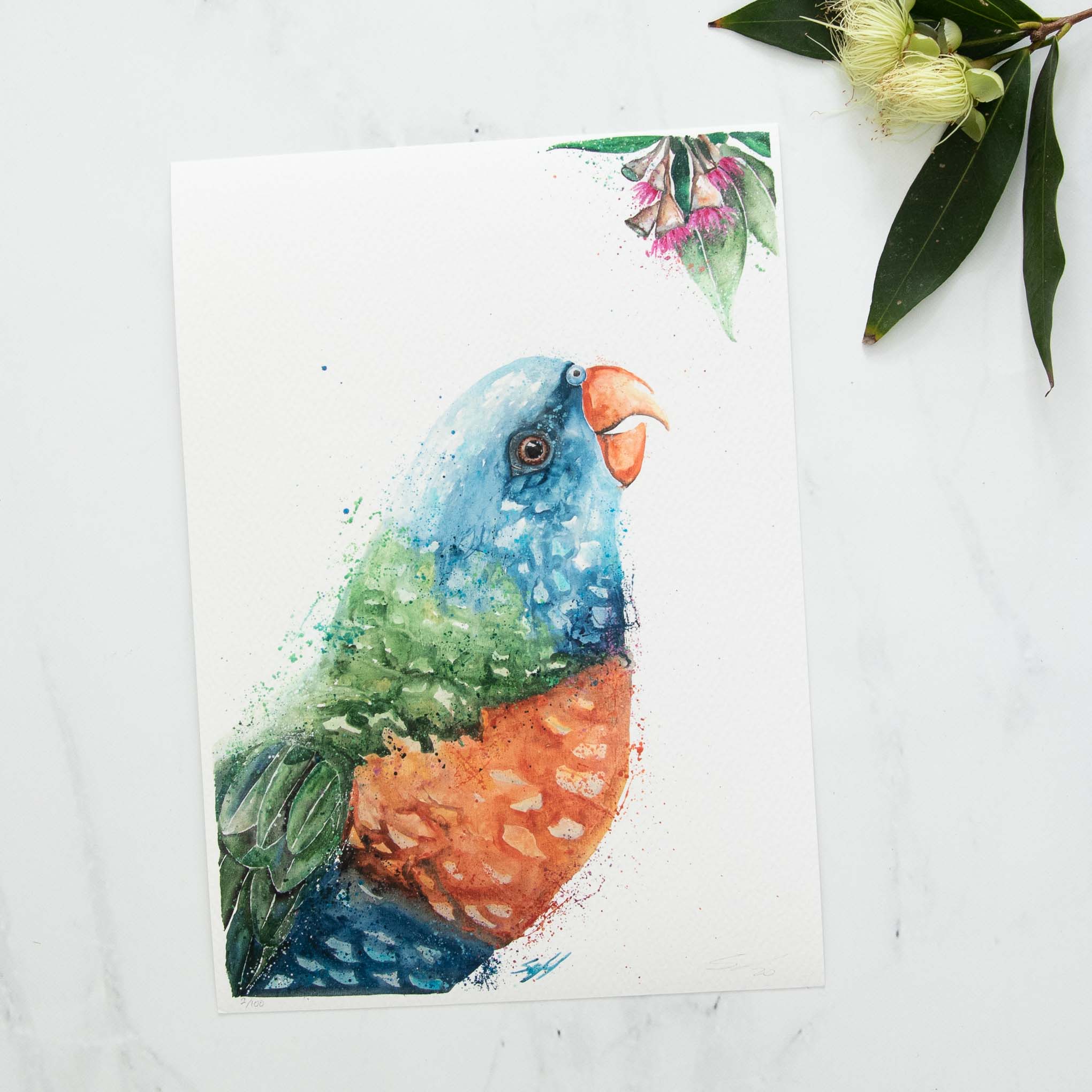 Rainbow Lorikeet Acrylic Artwork Fine Art Print