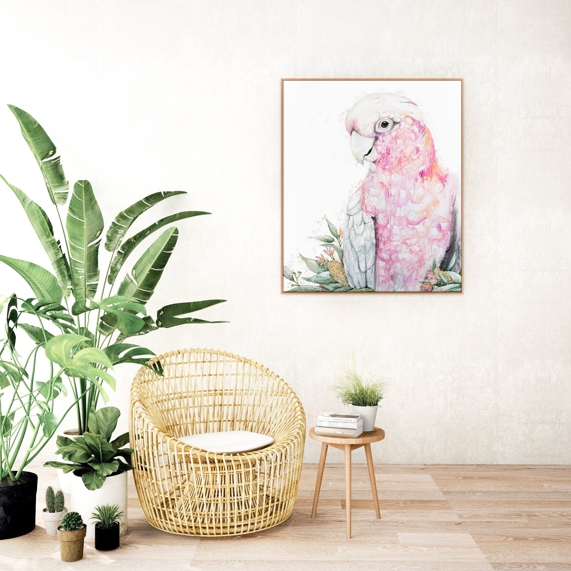 Pink Galah Canvas Print