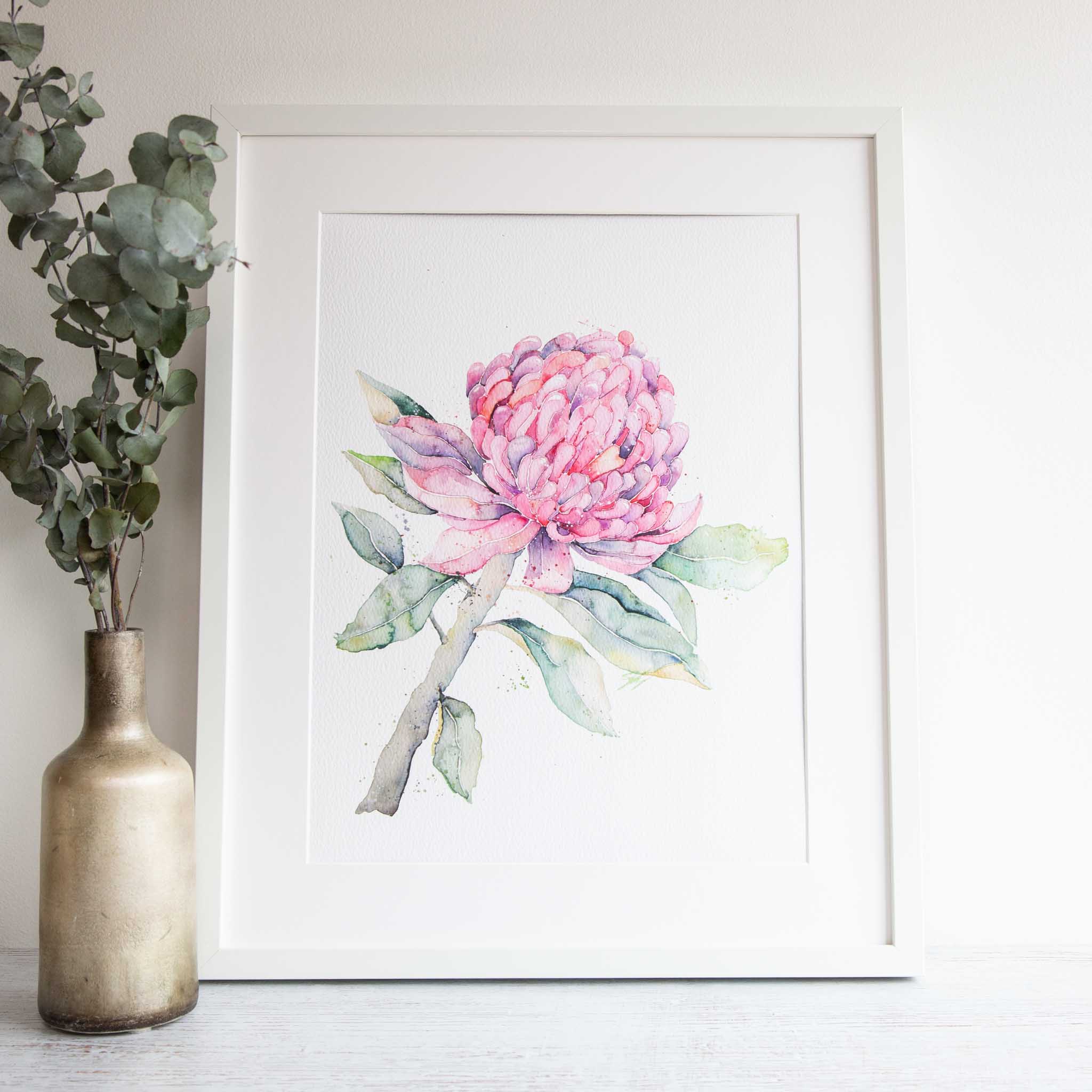 Framed Waratah Print Stephanie Elizabeth Artwork