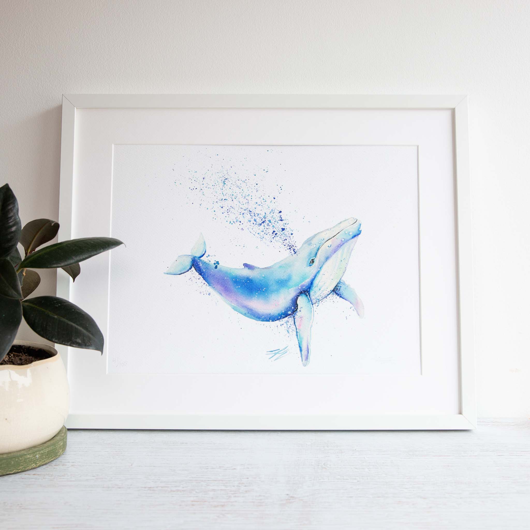 Humpback Holiday Framed Print