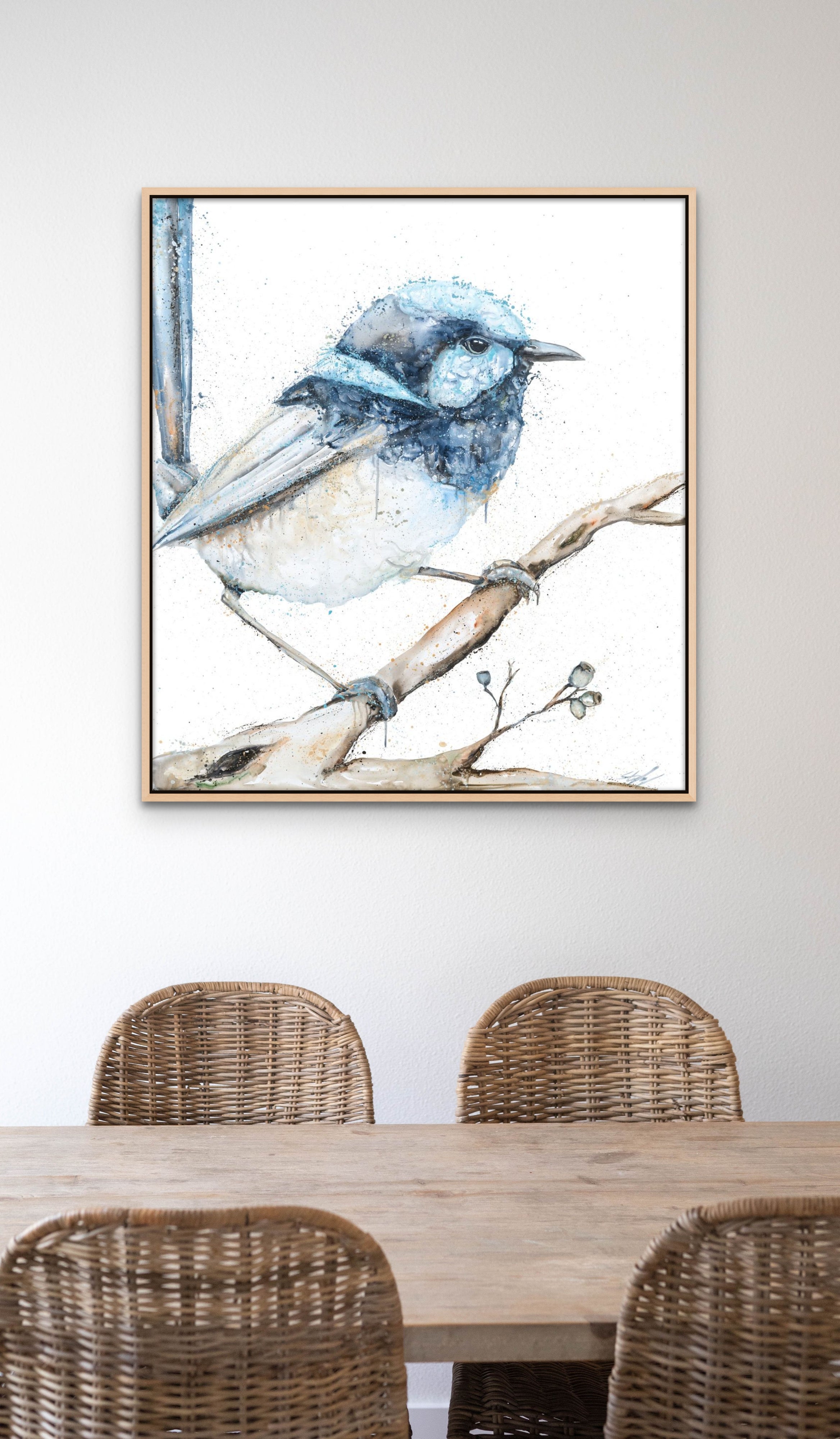 Blue Fairy wren Canvas Print