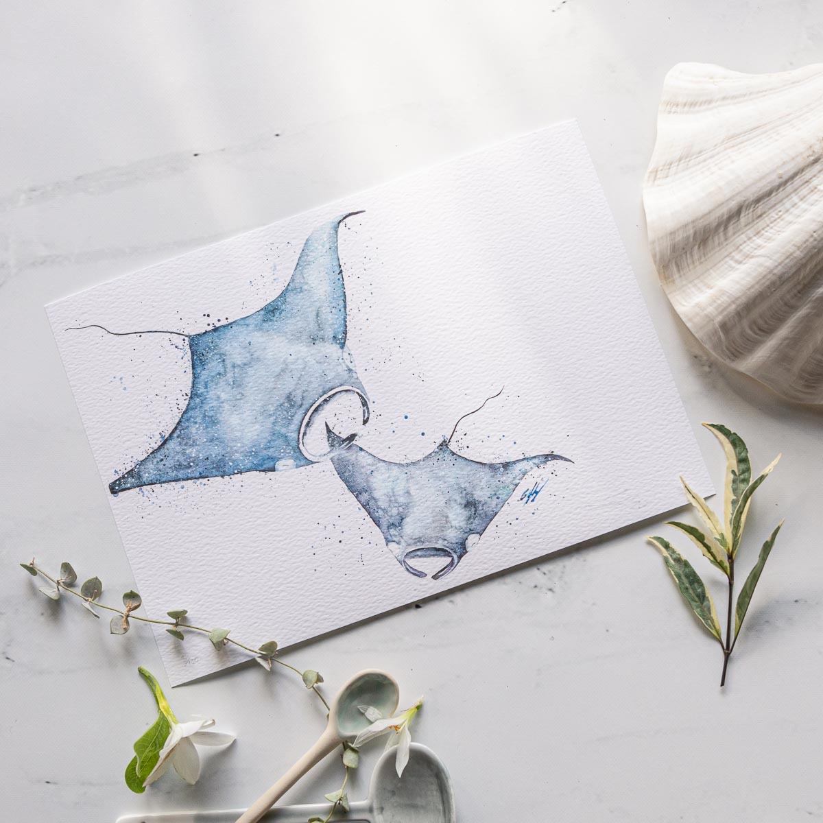 Amity Point Manta Rays Print