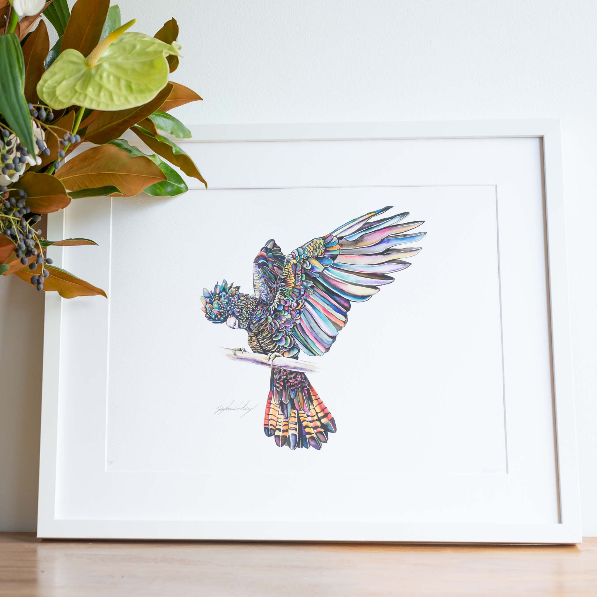 All a flutter black cockatoo wall art print