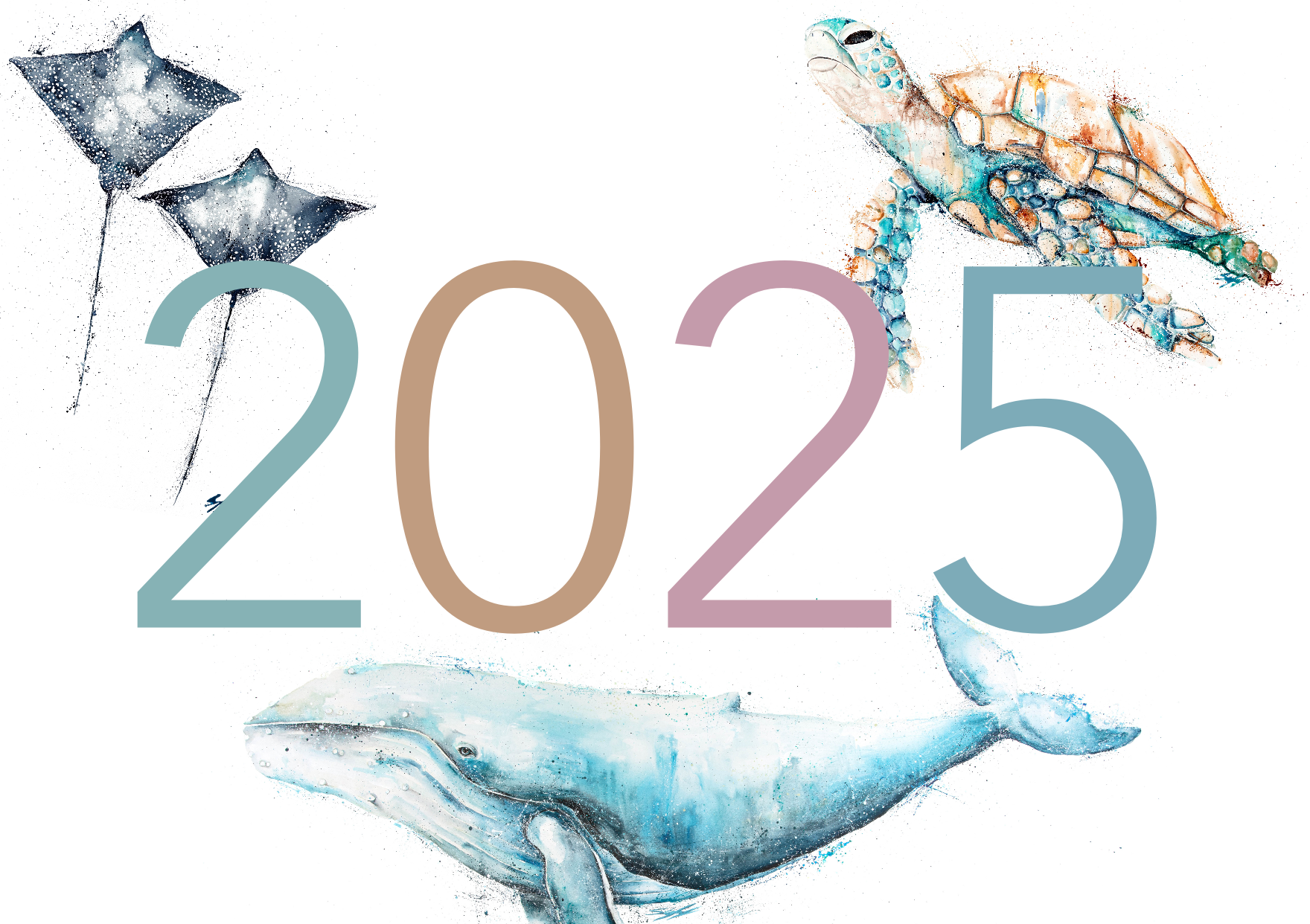 2025 Calendar by Stephanie Elizabeth Artwork