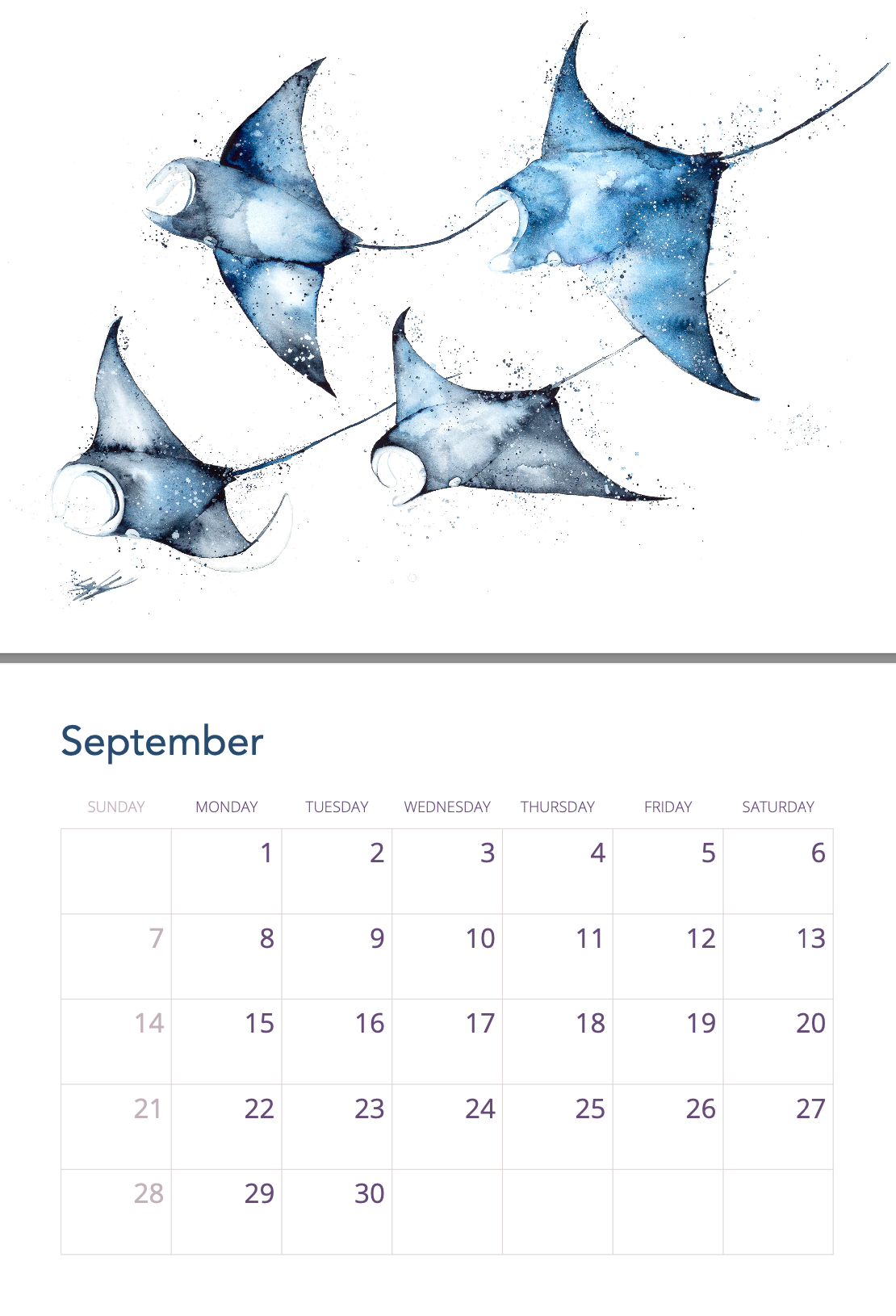 2025 Calendar by Stephanie Elizabeth Artwork