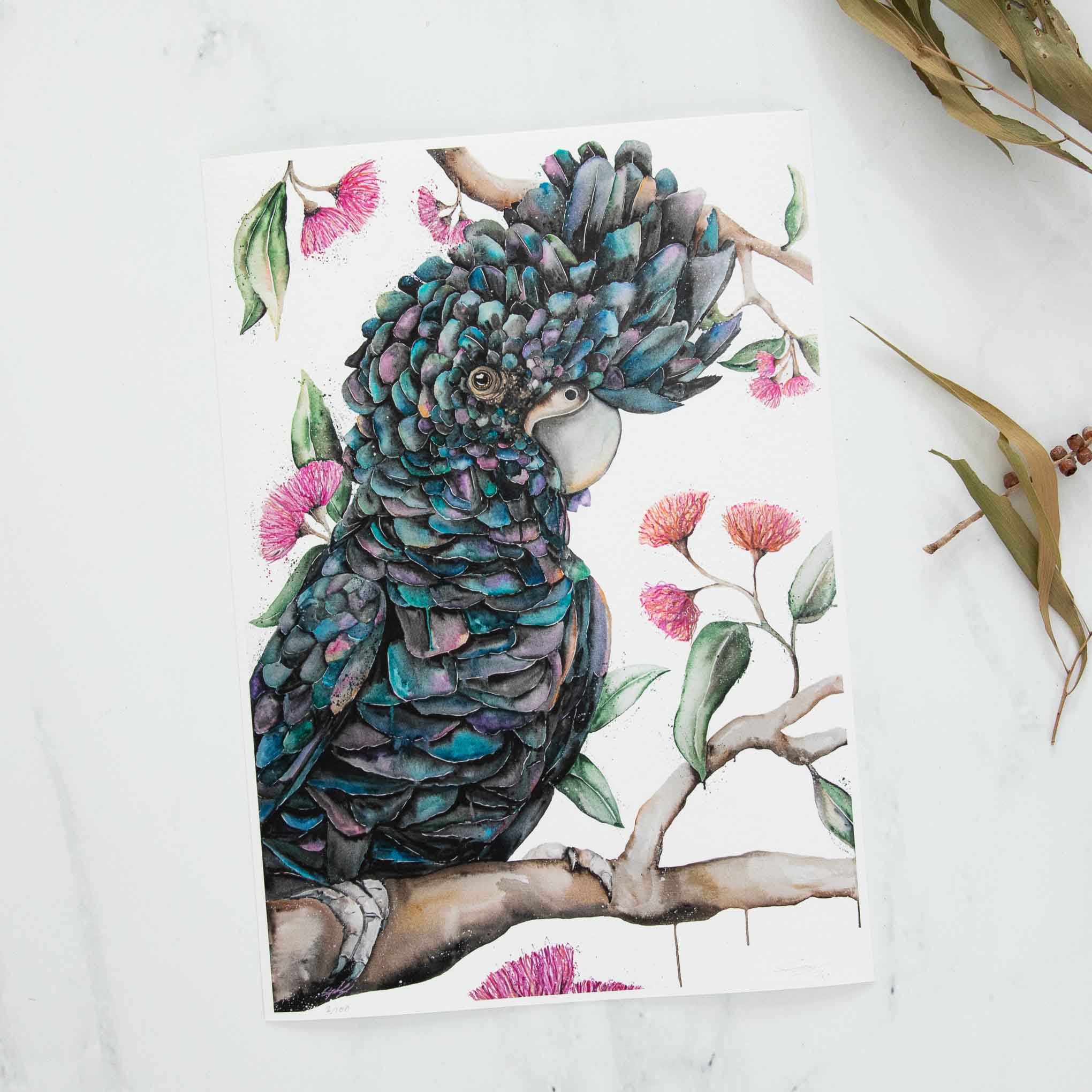 Purple Black Cockatoo Fine Art Print