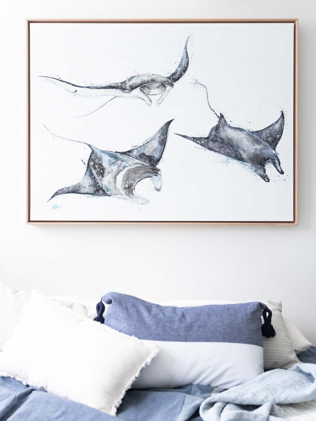 manta rays framed canvas print