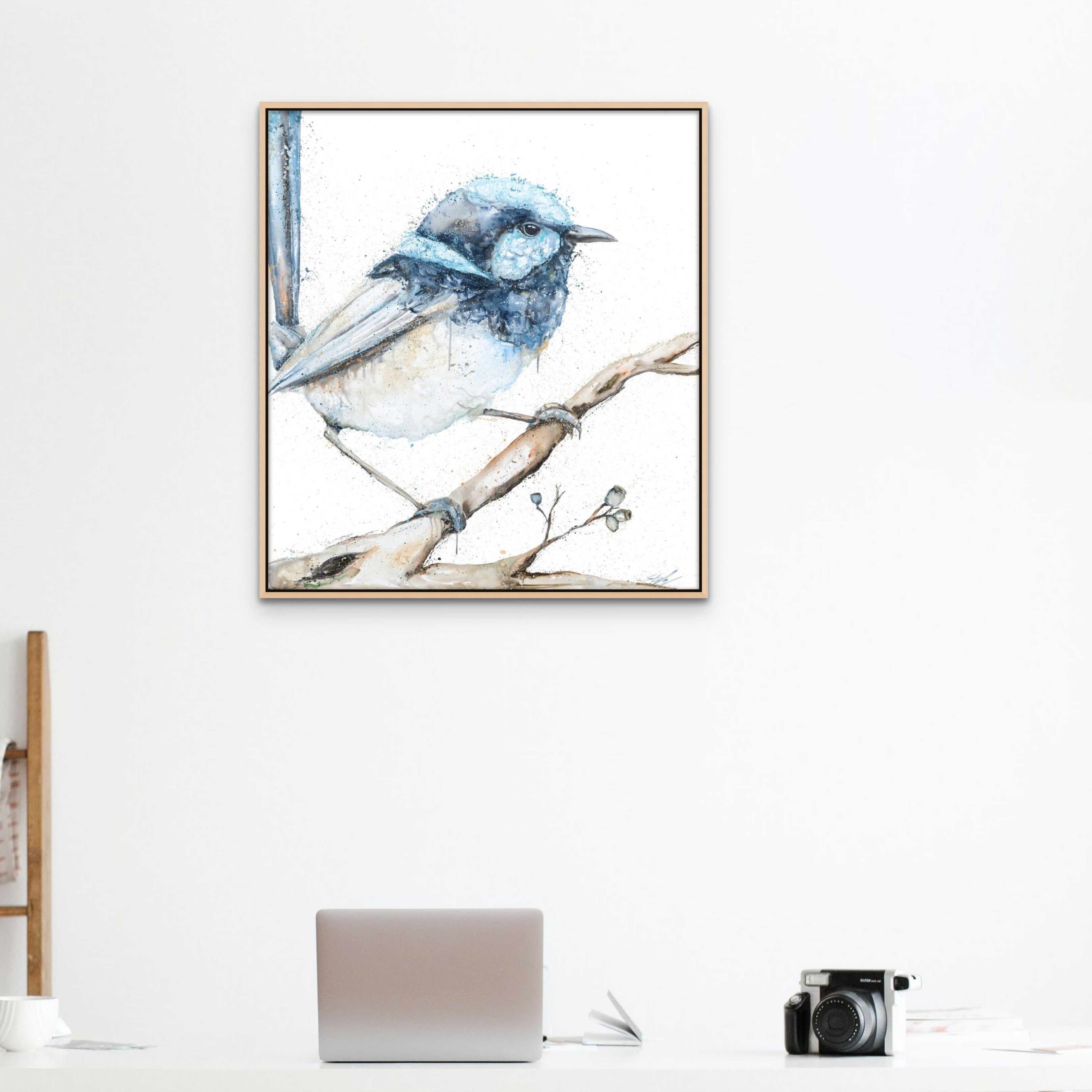 Blue Fairy wren Canvas Print